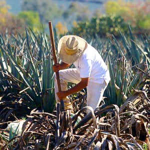Piden_mejores_condiciones_para_inmigrantes_embarazadas.jpg
