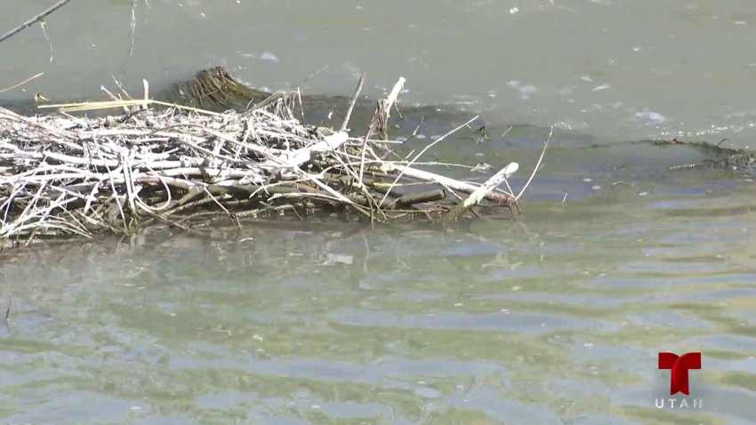 Sin identificar restos humanos encontrados a la orilla del río Jordan