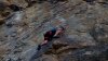 Trágico final: escalador muere tras caer de una montaña de 14,000 pies de altura