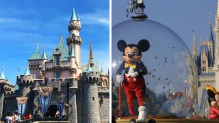 Disneyland and Disney World pictured