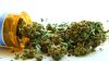 Utah elige empresas y lugares para farmacias de marihuana medicinal
