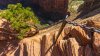 Encuentran a excursionista muerto en el Parque Nacional Zion