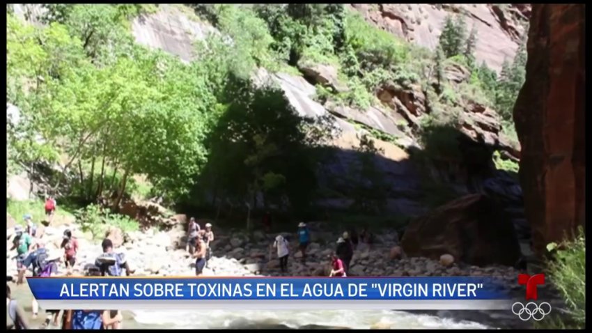 Autoridades alertan a visitantes del Parque Nacional Zion por algas toxicás en sus lagos