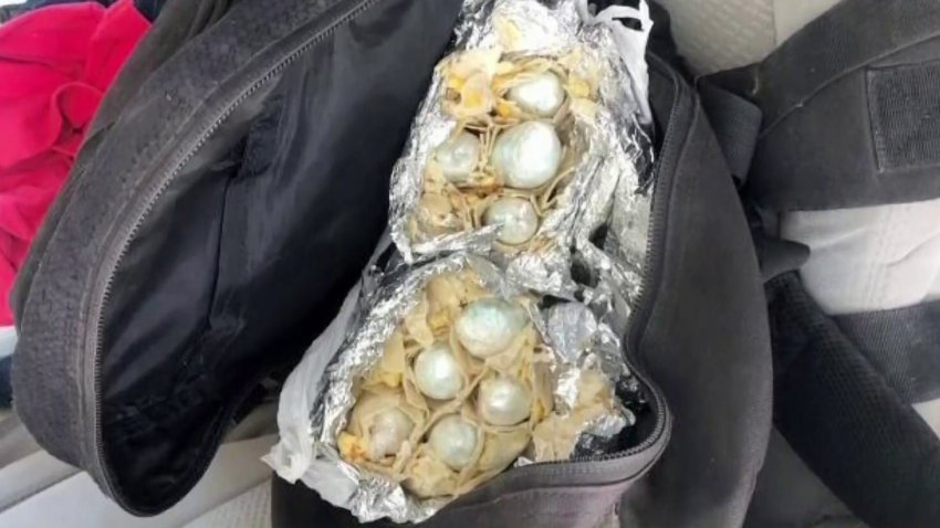 Hallan fentanilo escondido en burritos en puesto de control en Yuma