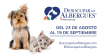 Telemundo Utah te invita a Desocupar Los Albergues
