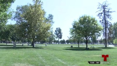 Crece la preocupación por incremento de la inseguridad en Pioneer Park