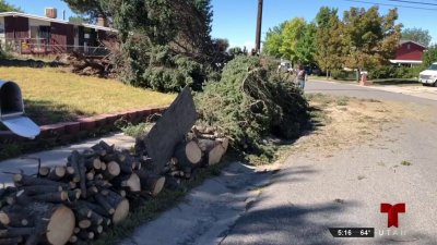 Fuertes vientos generan destrozos en algunas áreas