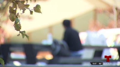 ¿Cómo prevenir el acoso escolar?