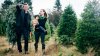 ¿Cómo puedo solicitar un permiso para cortar un árbol de navidad en Utah?
