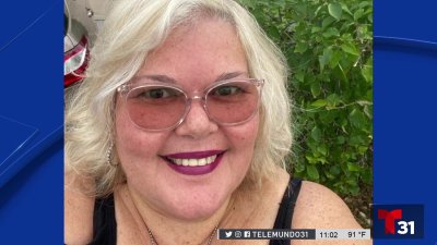 Muere atropellada una activista venezolana que ayudaba a una tortuga a cruzar la calle