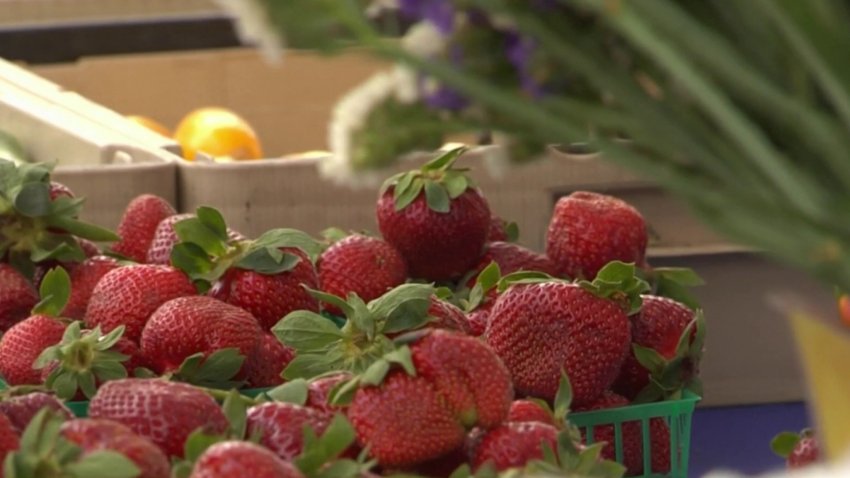 Investigas si fresas están vinculadas a brote de hepatitis A