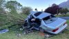 Dos jóvenes muertos y 3 heridos tras chocar su auto con un árbol en North Ogden