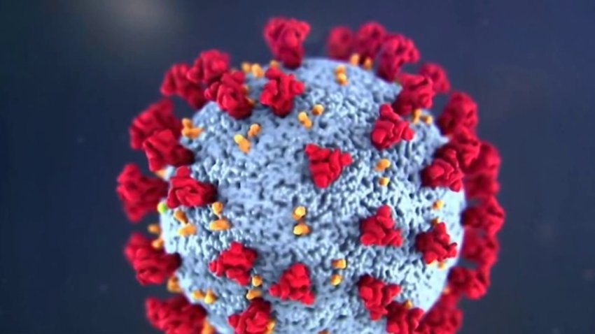 Según un estudio de Intermountain el ayuno intermitente reduce gravedad del Coronavirus