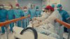 Exitosa cirugía que separó a siameses en Brasil será gratis para otros niños
