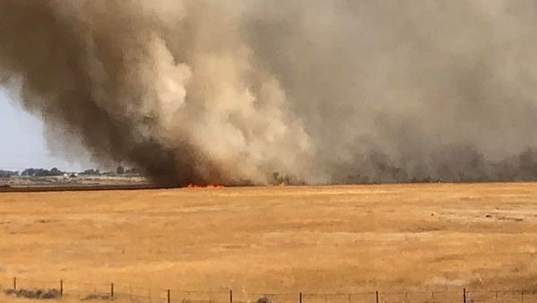 Idaho Wildfire Has Already Burned Over 1,200 Acres – NBC Utah