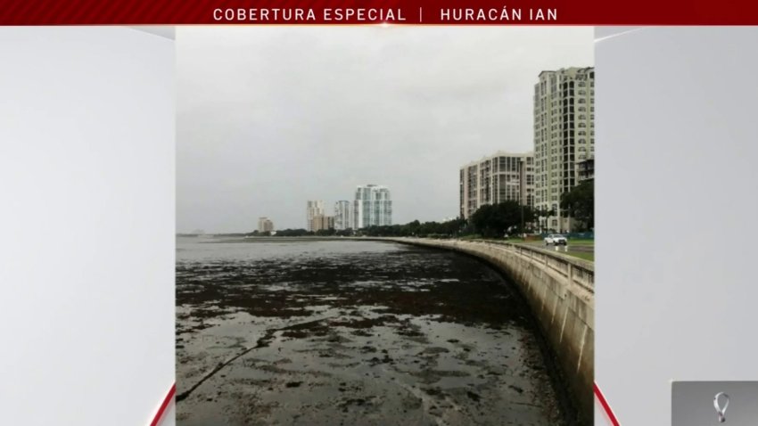 Impactantes imágenes: ¿por qué el mar “se ha recogido” ante cercanía del huracán Ian?