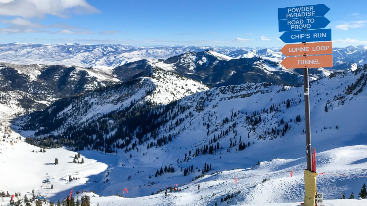 Esquiador pierde la vida tras caer montaÃ±a abajo en Lisa Falls en Snowbird - Telemundo Utah
