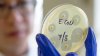 Detectan bacteria E. Coli en el agua de las ciudades de Highland y Kamas