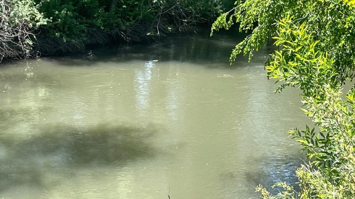 Antes de ir al Jordan River, revisa esta alerta por algas nocivas