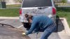 “Al principio lo dudé”: madre en Utah se gana la vida remolcando autos