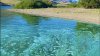 Utah: 24 lagos aún están bajo aviso de alerta por proliferación de algas nocivas