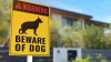 Horrible muerte: pitbull mata a niño de 4 años mientras jugaba en el patio de su casa