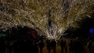 Luces de Navidad en Draper Park. Ubicado justo en el corazón del Draper Town Center en 12500 S. 1300 E.