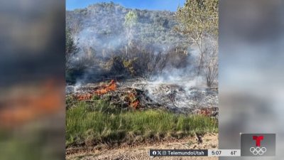 Incendio forestal cerca de Oak Grove en Cedar City ha consumido cerca de 22 acres