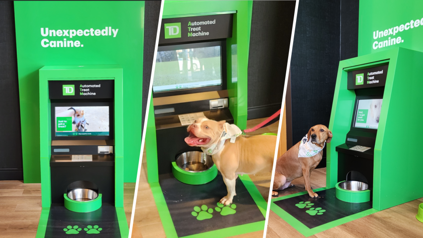 TD Bank Debuts First-Of-Its-Kind Dog ATM