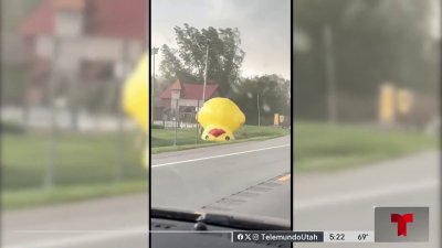 Minuto Digital: pato Gigante atraviesa carretera en Michigan