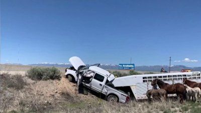 Conductor herido de gravedad tras viajar en sentido contrario y chocar con una camioneta en la I-80