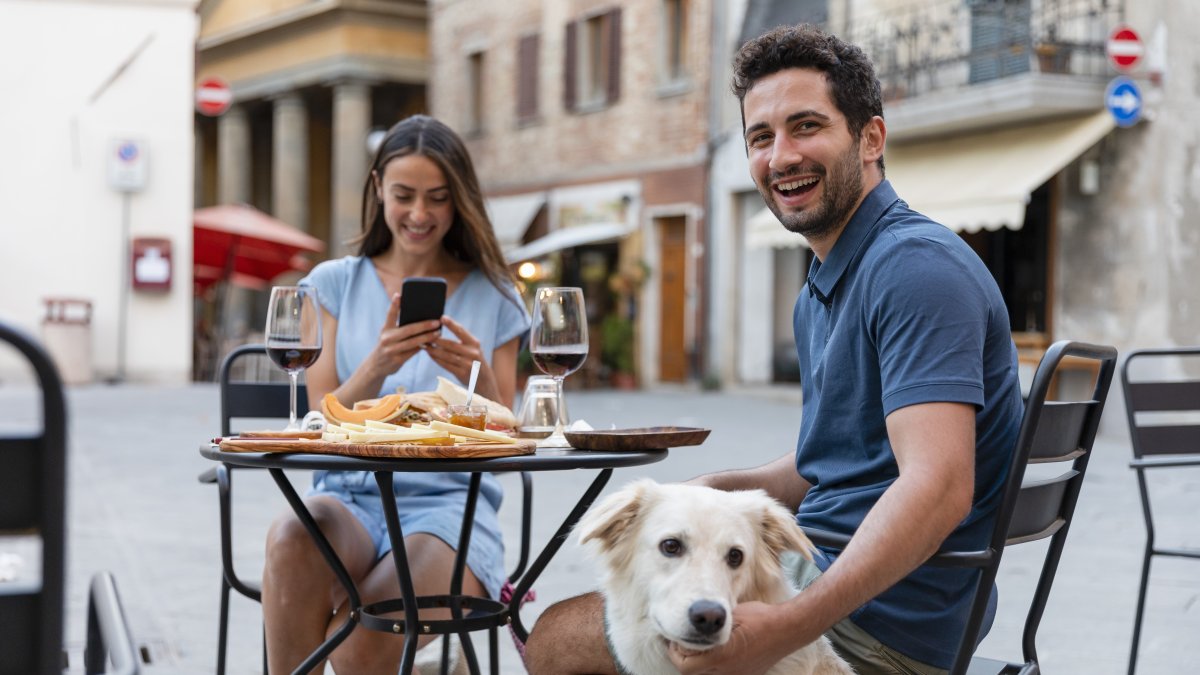 se permiten perros en los bares de california