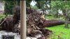 Daños semejantes a tornado: 7 muertos y devastación en Houston por tormentas