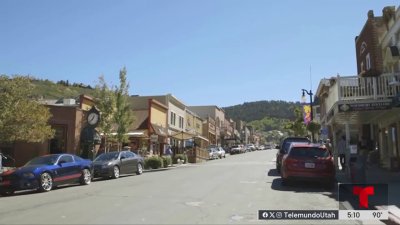 Se registran avistamientos de osos en Park City