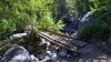 Mujer de 19 años pierde la vida tras caer a un río en el condado Utah