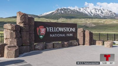 Sospechoso muerto y guardabosque herido en enfrentamiento en el Parque Nacional Yellowstone