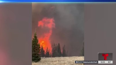 Continúan órdenes de evacuación por incendio forestal Yellow Lake