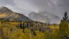 Después de días cálidos y soleados llega tormenta invernal a Utah, aquí lo que se espera  