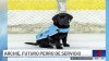 Archie; la nueva mascota del Utah Hockey Club que servirá a un veterano