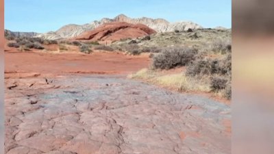 Vadalizan rocas de parque nacional en Utah