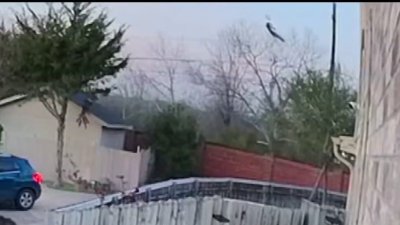 Nuevo video del mortal accidente aéreo en Mesquite