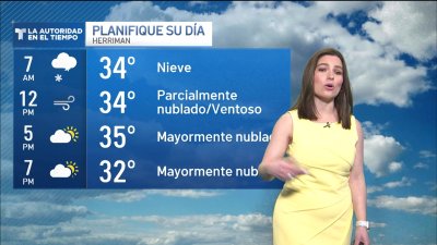 Martes ventoso y con nevadas intensas