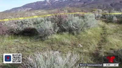 Identifican restos de una mujer reportada como desaparecida en  Alpine