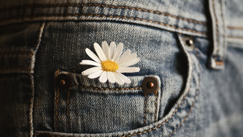 Small white flower in a jeans pocket
