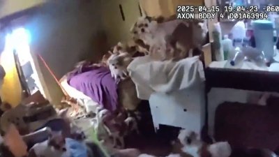 Dos residentes de ogden enfrentan cargos por crueldad animal