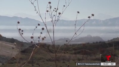 Hallan restos humanos de una mujer en Cedar Mountain