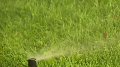 ¿Estamos en sequía? Autoridades en alerta por reservas de agua en Utah