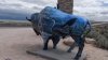 Andando Utah: Antelope Island, una isla habitada por bisontes en el Gran Lago salado