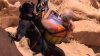 Rescatan a hombre que cayó de aproximadamente 60 pies de altura cerca de Goblin Valley