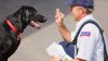 Aumentan los ataques de perros a carteros en Utah